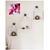 tablou, tablouri, tablouri pictate, tablou abstract, tablouri living, tablouri canvas