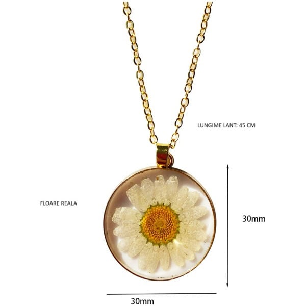 Colier cu floare naturală de Margaretă