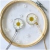 Colier cu floare naturală de Margaretă